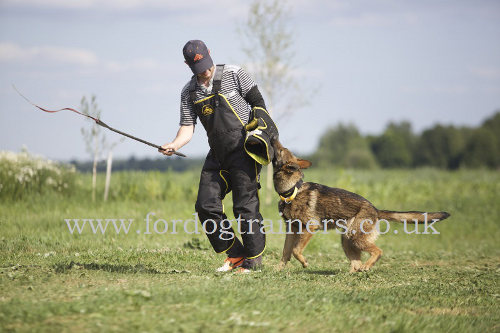 dog training whip for schutzhund